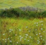 Dartmoor Flower Meadow